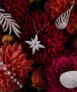 Dowear.shopd50a797a15 3