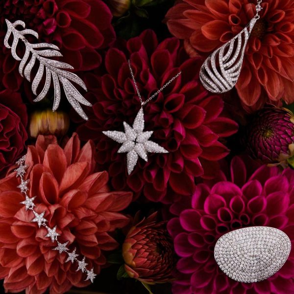 Dowear.shopd50a797a15 3