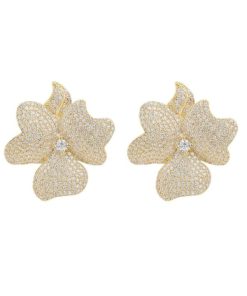 Dowear.shopd718ec127b 1