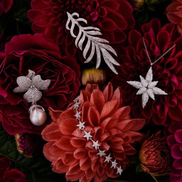 Dowear.shopecf28d2067 15